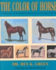 The_color_of_horses