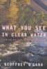 What_you_see_in_clear_water