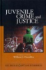 Juvenile_crime_and_justice