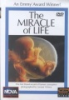 The_Miracle_of_life