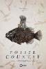 Fossil_Country
