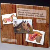 Illustrated_atlas_of_clinical_equine_anatomy_and_common_disorders_of_the_horse
