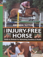 The_injury-free_horse