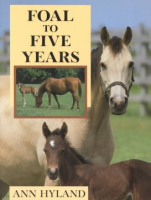 Foal_to_five_years
