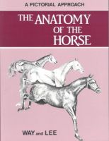 The_anatomy_of_the_horse