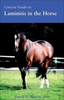 Concise_guide_to_laminitis_in_the_horse