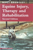 Equine_injury__therapy__and_rehabilitation