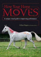 How_your_horse_moves